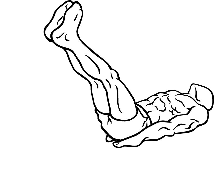 레그레이즈 시작 자세 도해